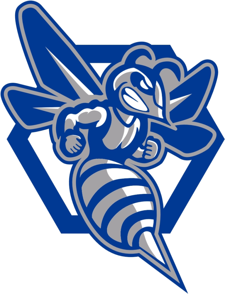 stinger logo mascot